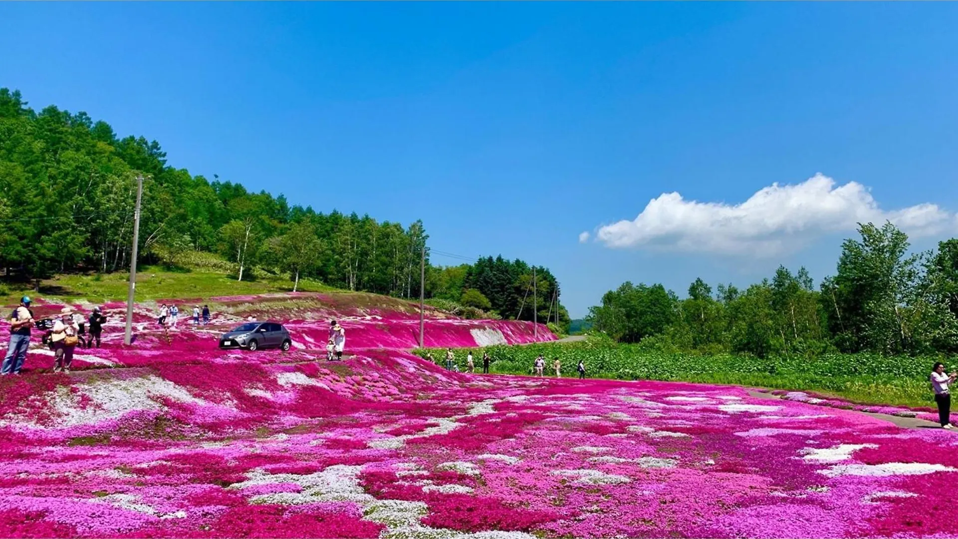 Hotel Skye Niseko - Vacation Stay 30730V